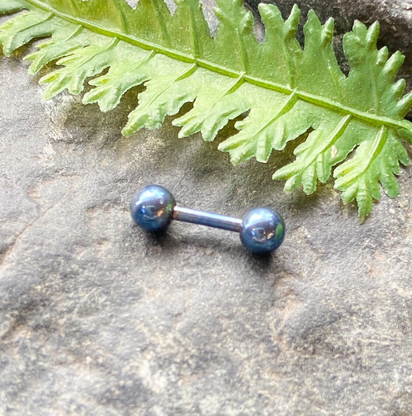 5pc Value Pack Titanium Plated Tragus Barbell Studs Cartilage Helix 16g 1/4" 6mm