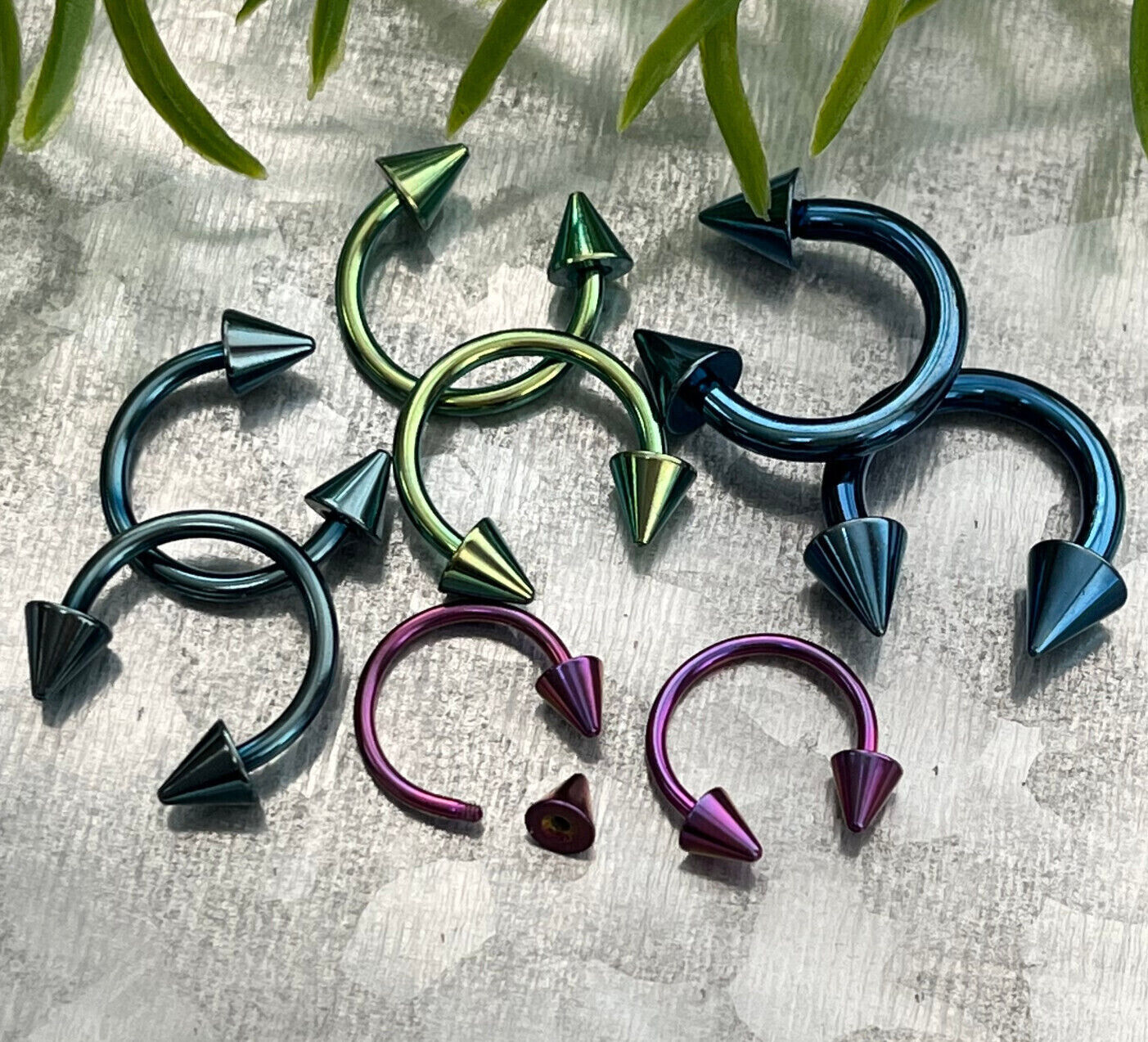 PAIR Titanium Spiked Circular Barbells Horseshoe Septum, Eyebrow, Nipple Rings