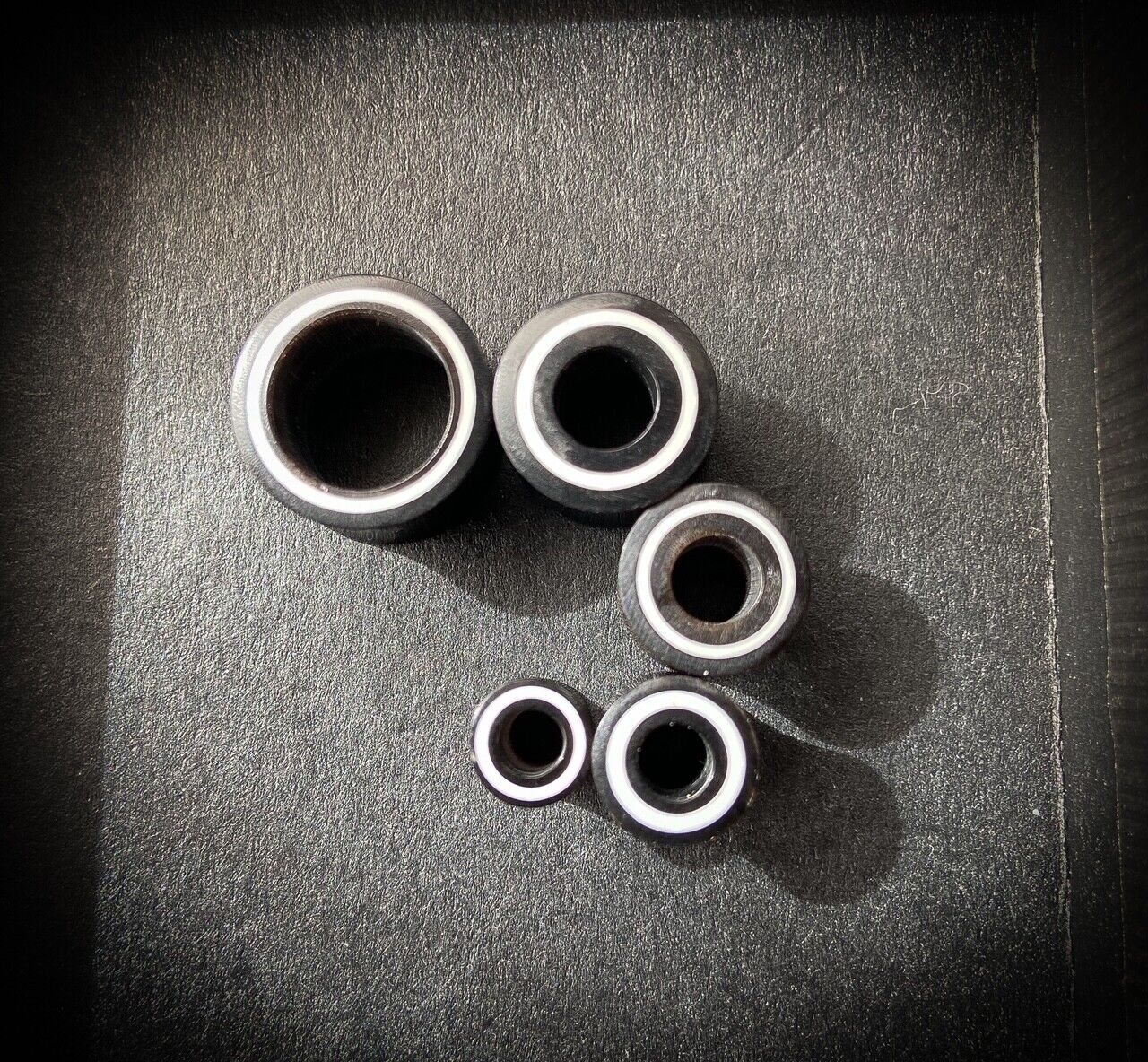 PAIR Double Flare Horn Tunnels w/ Bone Rim Ear Gauges Earlets Organic Plugs