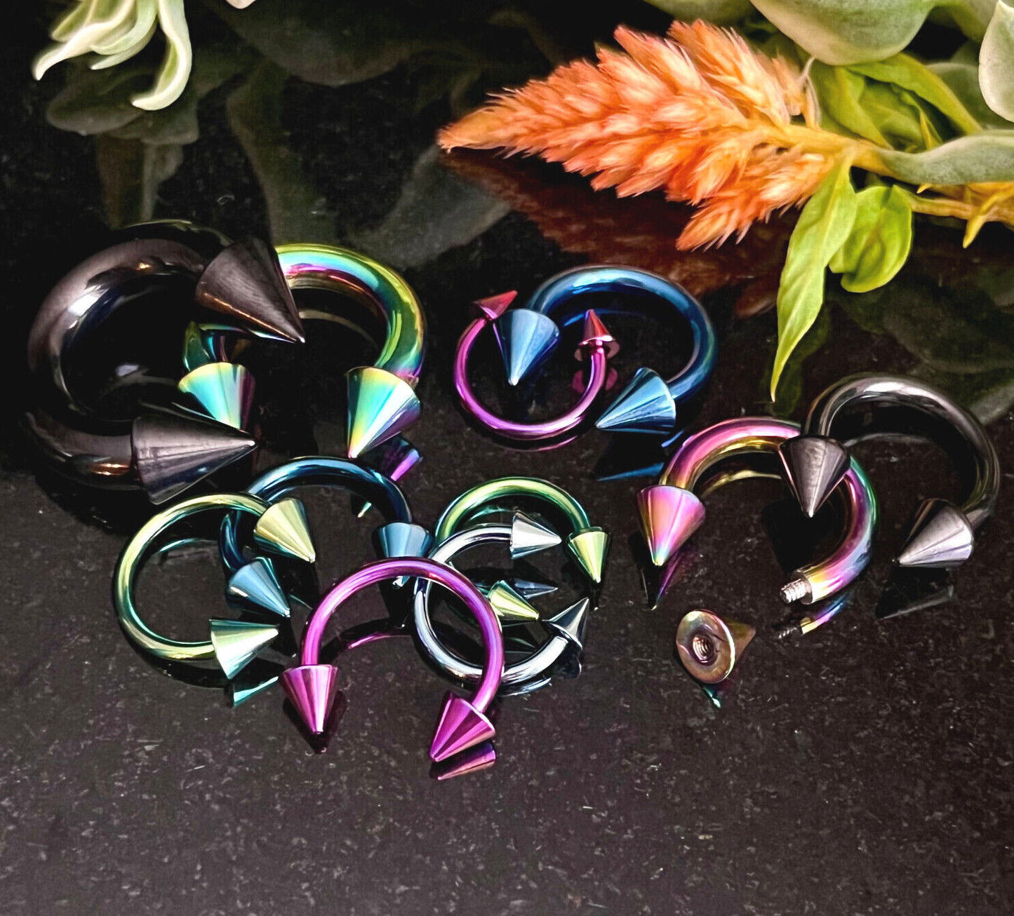 PAIR Titanium Spiked Circular Barbells Horseshoe Septum, Eyebrow, Nipple Rings