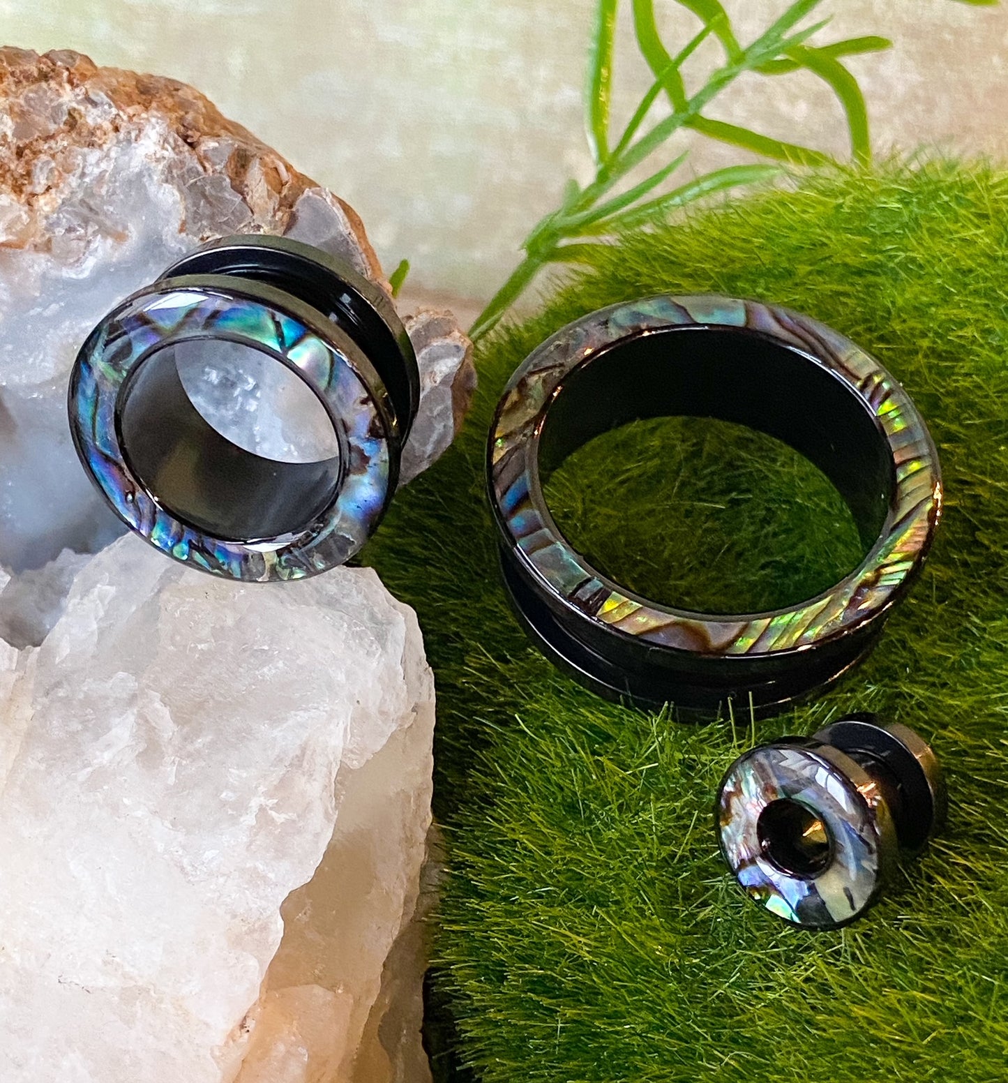 PAIR of Beautiful Abalone Rimmed Black Screw Fit Tunnels Plugs - Gauges 2g (6mm) thru 1" (25mm)