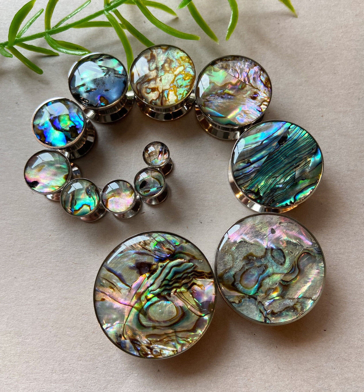 PAIR of Unique Abalone Inlay Steel Screw Fit Plugs - Gauges 8g (3.2mm) thru 1" (25mm)