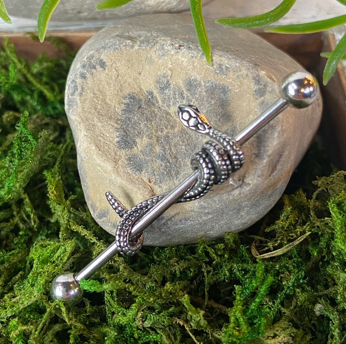 1pc Snake Wrapped Steel Industrial Barbell Serpent 38mm Body Jewelry 1&1/2"