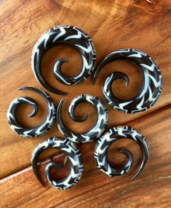 PAIR of Beautiful Organic Abalone Inlay Horn Spiral Tapers Plugs - Expander Gauges 2g,0g,00g