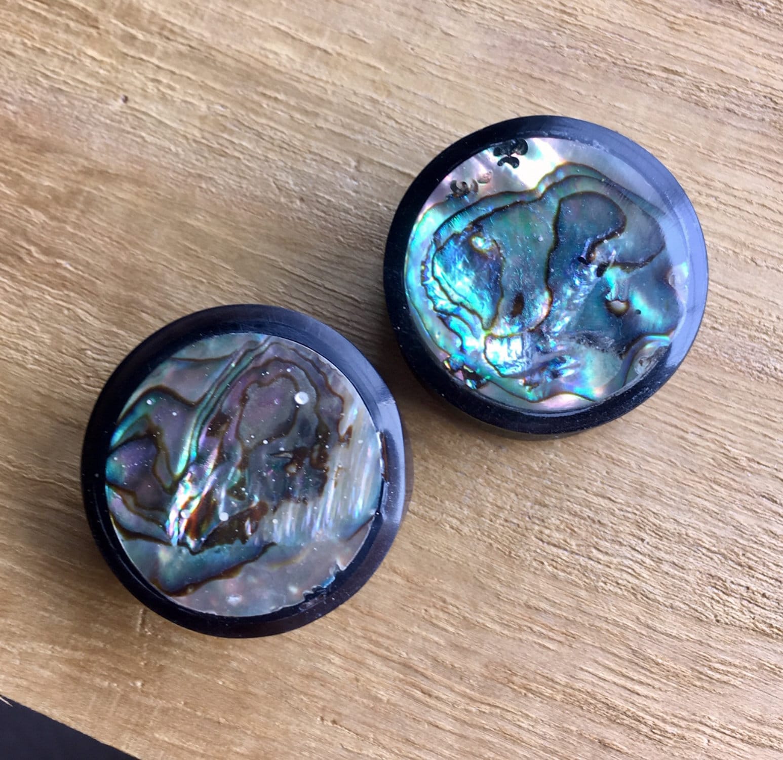 PAIR of Stunning Organic Horn with Abalone Inlay Plugs - Gauges 4g (5mm) up to 1" (25mm) available!