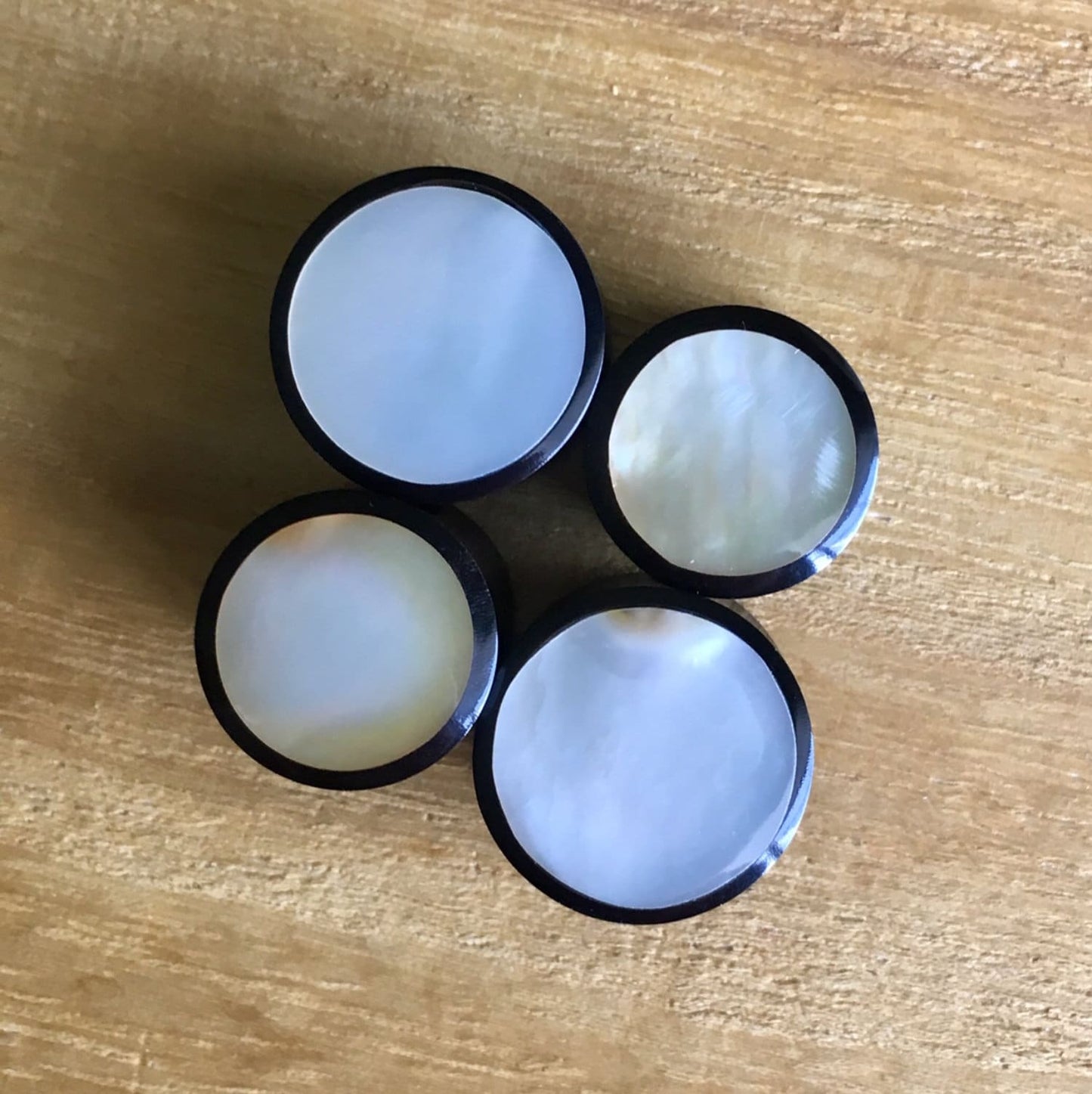 PAIR of Unique Organic Horn with Mother of Pearl Inlay Plugs - Gauges 4g (5mm) up to 5/8" (16mm) available!
