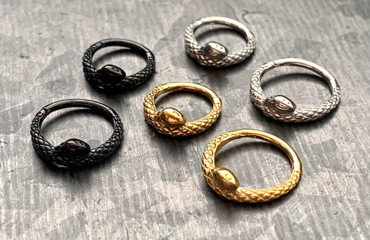 1 Piece Unique Coiled Snake Steel Hinged Segment Ring - 16g - 8mm or 10mm internal diameter - Black, Silver and Gold available!