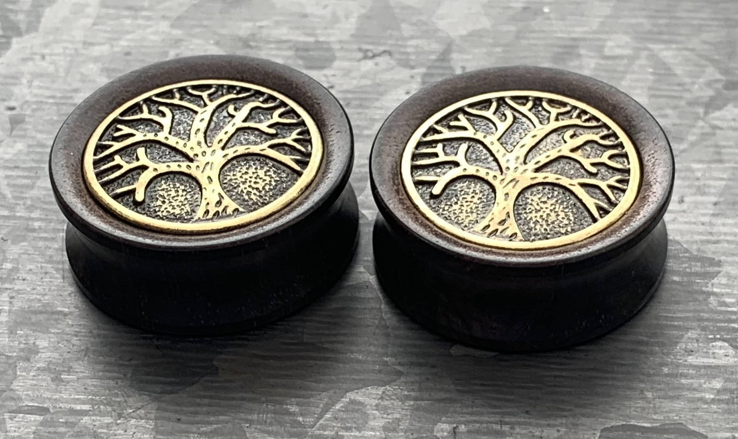 PAIR of Beautiful Organic Ebony Wood Plugs with Tree of Life Top Saddle Plugs - Gauges 2g (6mm) up to 1" (25mm) available!