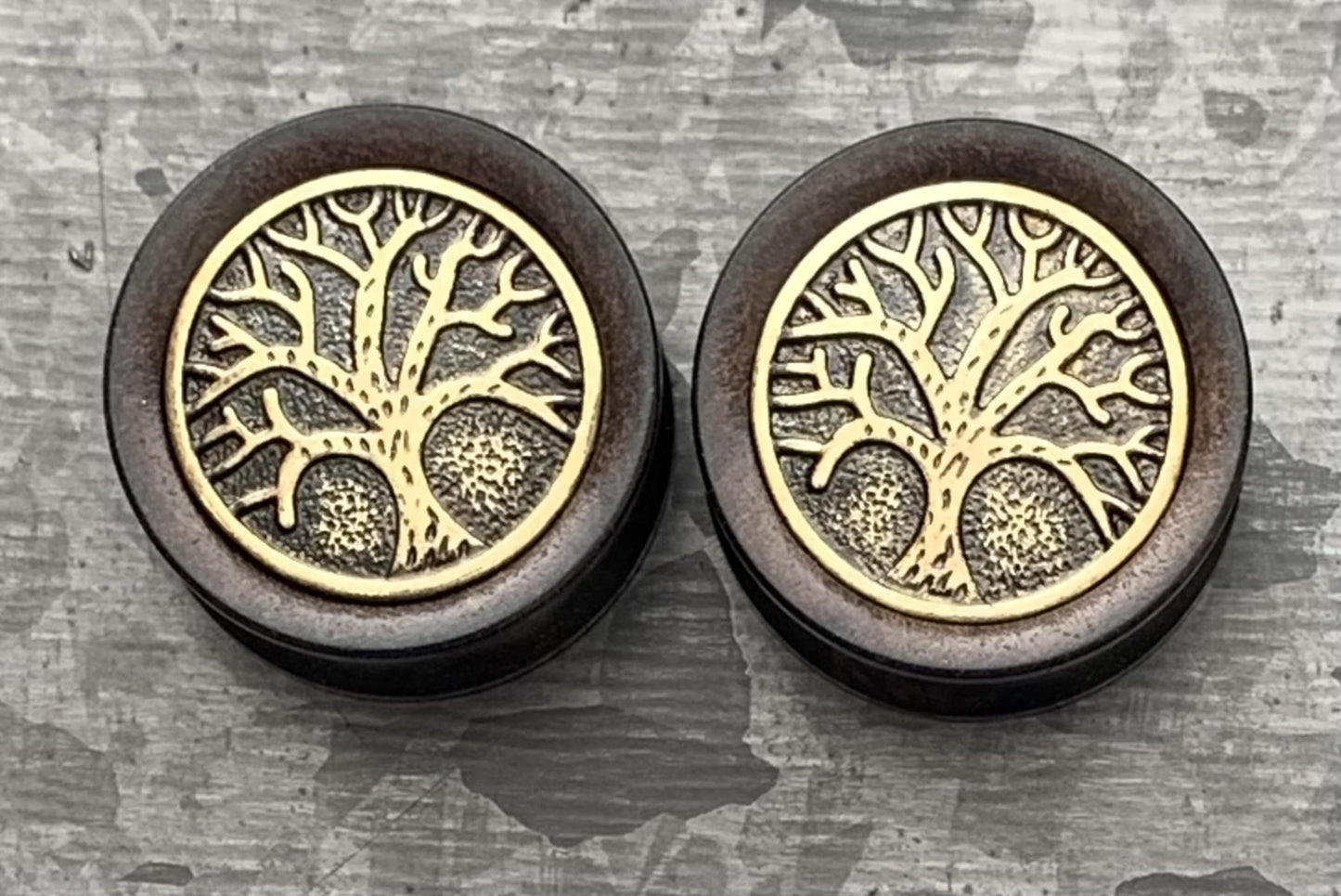 PAIR of Beautiful Organic Ebony Wood Plugs with Tree of Life Top Saddle Plugs - Gauges 2g (6mm) up to 1" (25mm) available!