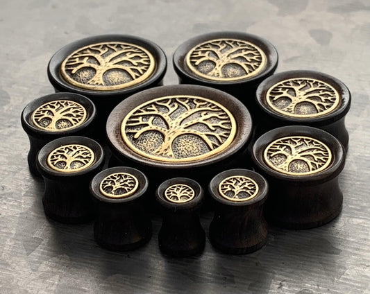 PAIR of Beautiful Organic Ebony Wood Plugs with Tree of Life Top Saddle Plugs - Gauges 2g (6mm) up to 1" (25mm) available!