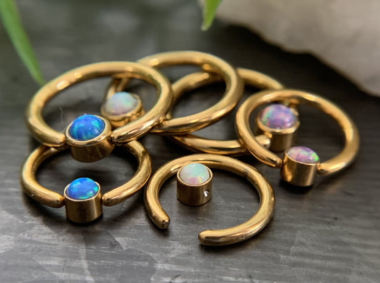1 Piece Beautiful Gold Opal Set Flat-Back Black Plated Segment Septum Ring - 16g or 14g - 8mm or 10mm - White, Purple, Blue Available!
