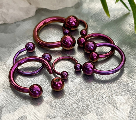 1 Piece Brilliant Purple Titanium Anodized Circular Barbell Horseshoe Ring - 18g thru 12g with Assorted Internal Diameter and Ball Size!!