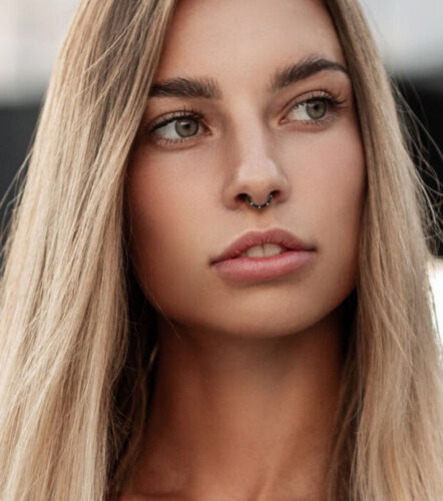 1 Piece Beautiful Five Flush Gems Hinged Segment Septum Ring - 16g - 10mm & 8mm - Black, Gold, Rainbow, Rose Gold or Silver Available!