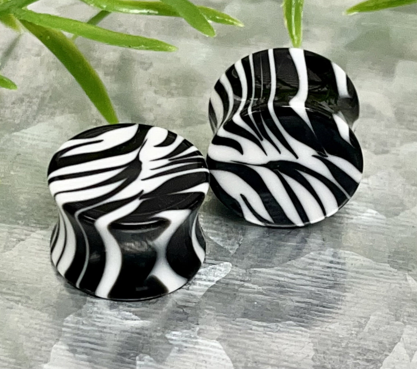 PAIR of Unique Zebra / White Tiger Acrylic Saddle Plugs Saddle Plugs - Gauges 8g (3.2mm) thru 9/16" (16mm) available!
