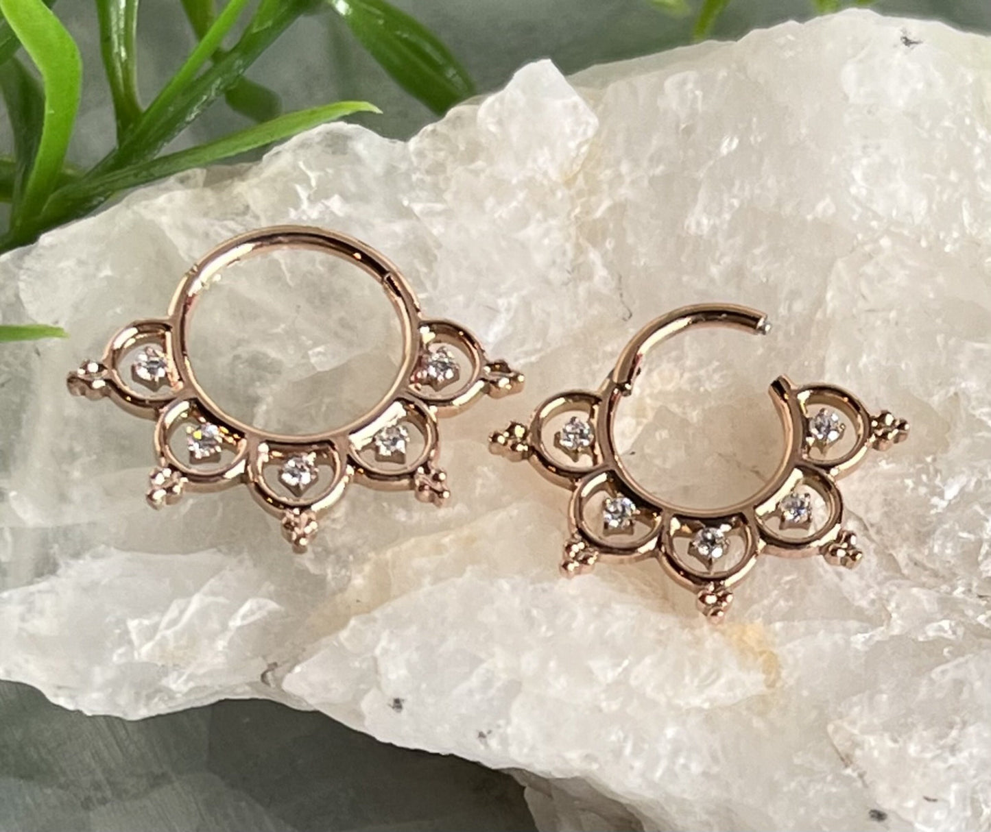 1 Piece Stunning Gem Center Petals Hinged Segment Ring - 16g - 10mm or 8mm - Silver, Gold & Rose Gold Available!