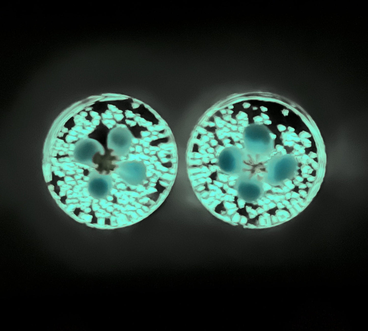 PAIR of Unique Floating Blue Flower Pyrex Glass Glow the the Dark Double Flare Plugs - Gauges 0g (8mm) through 1" (25mm) available!