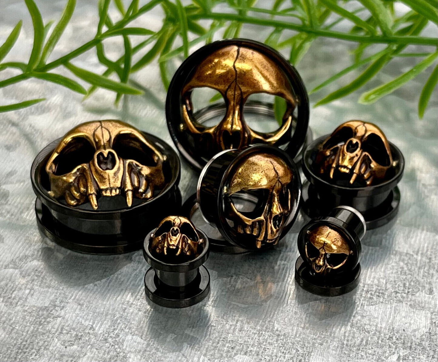 PAIR of Gold Skull with Fangs Black Screw Fit Tunnels /Plugs - Gauges 0g (8mm) thru 1" (25mm) available!