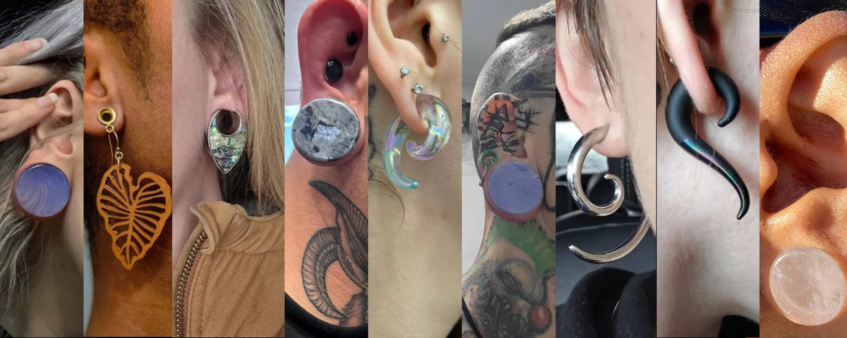 TOP SELLING PLUGS