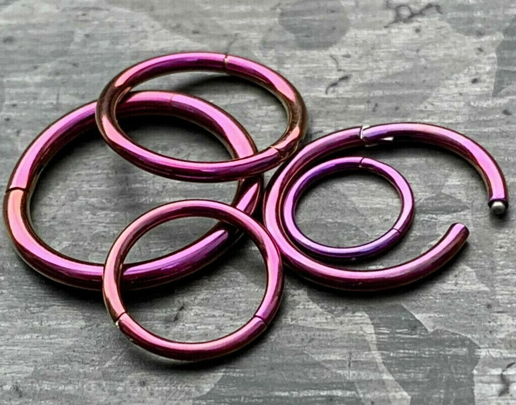 PAIR of Hinged Segment Rings Septum Clicker Hoops PVD over 316L Surgical Steel  (Color: Purple)