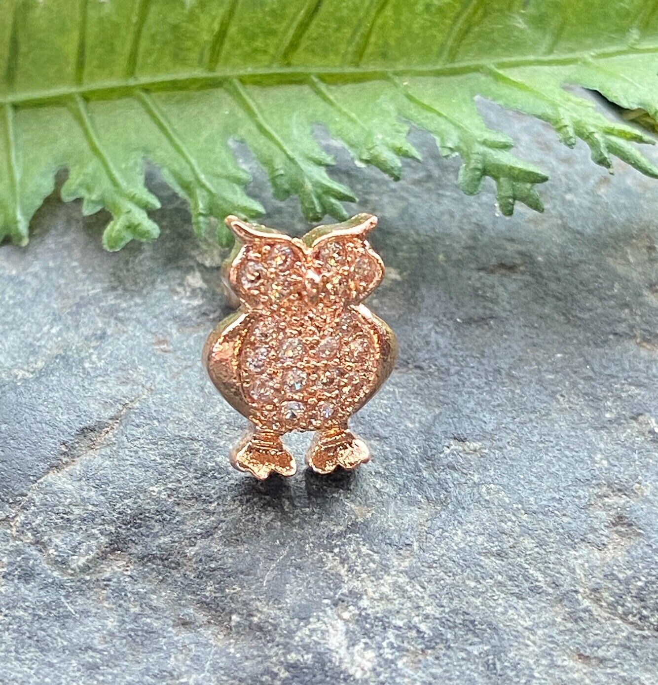 1pc CZ Gem Paved Owl Surgical Steel Tragus Cartilage Barbell Ring 16g 1/4" (Color: Rose Gold)
