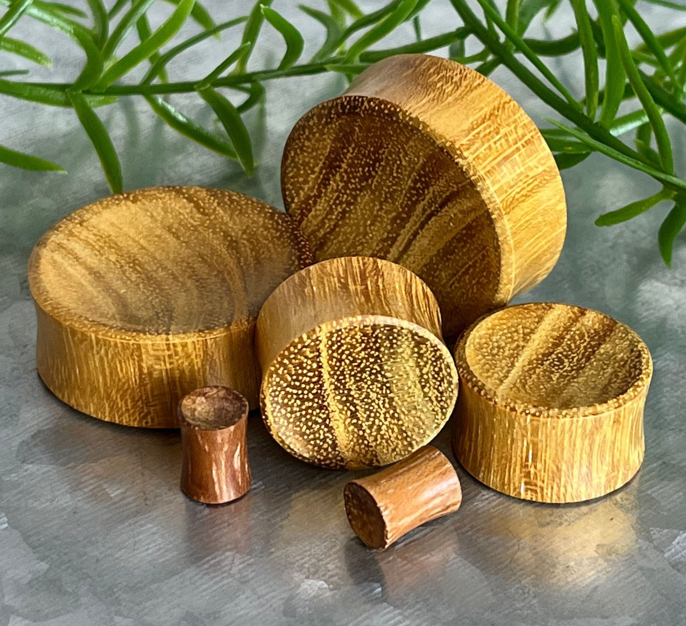 PAIR Concave Jackfruit Wood Plugs Organic Earlets Tunnels Gauges Body Jewelry