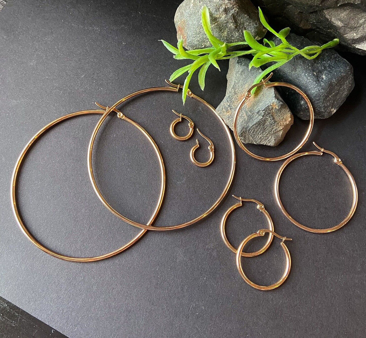 PAIR of Round Hoop Earrings 22g Rose Gold Ion Plated Stainless Steel