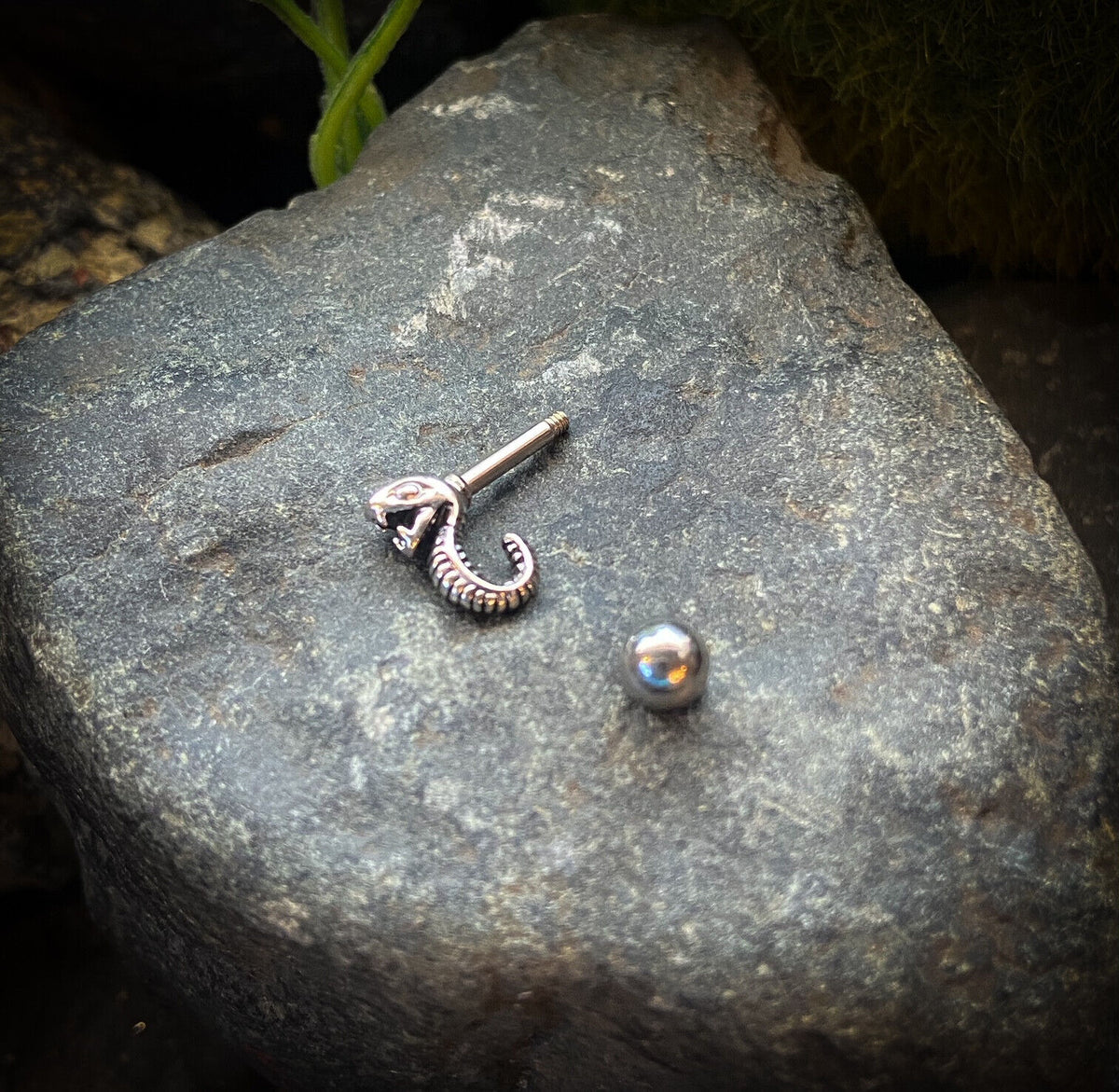 Hissing Snake Silver Plated Surgical Steel Tragus Helix Ear Cartilage Stud Ring 