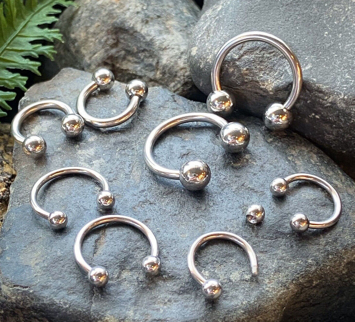 3 PAIR Value Pack 316L Surgical Steel Circular Barbells Horseshoes - 14g or 16g