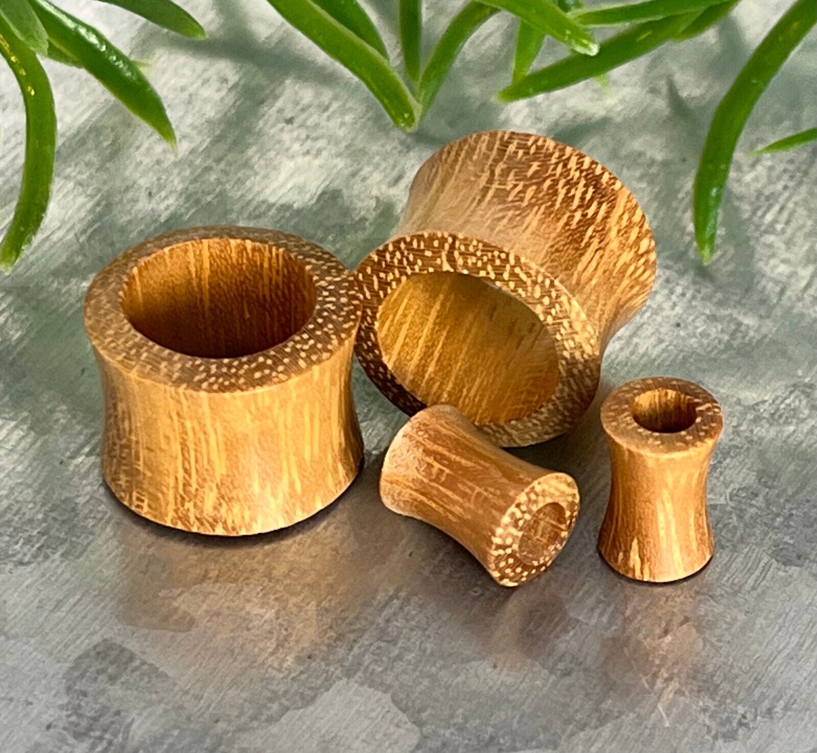 PAIR Jackfruit Wood Tunnels Plugs Organic Earlets Gauges Body Jewelry