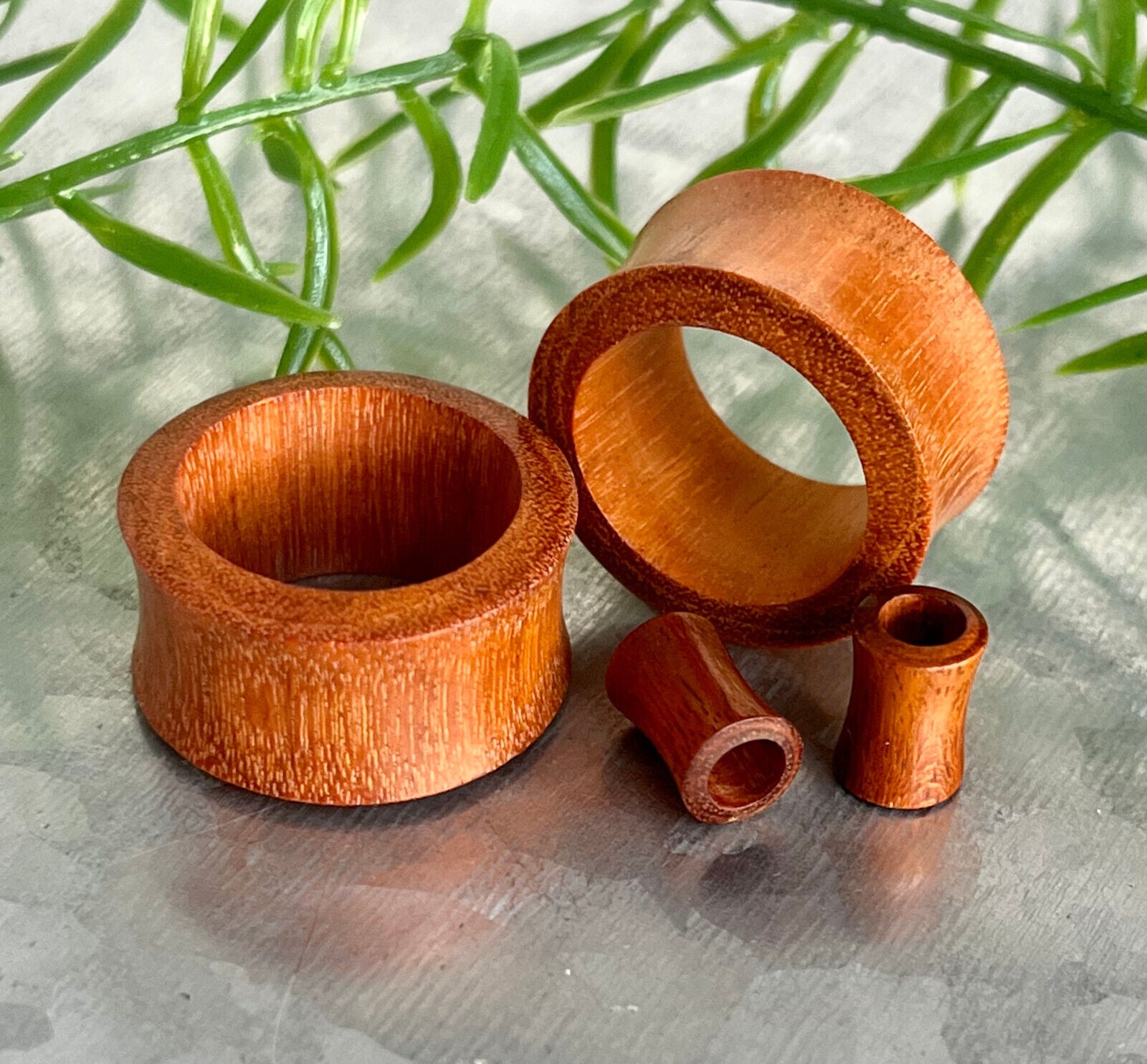 PAIR Chang Wood Tunnels Plugs Organic Earlets Gauges Body Jewelry