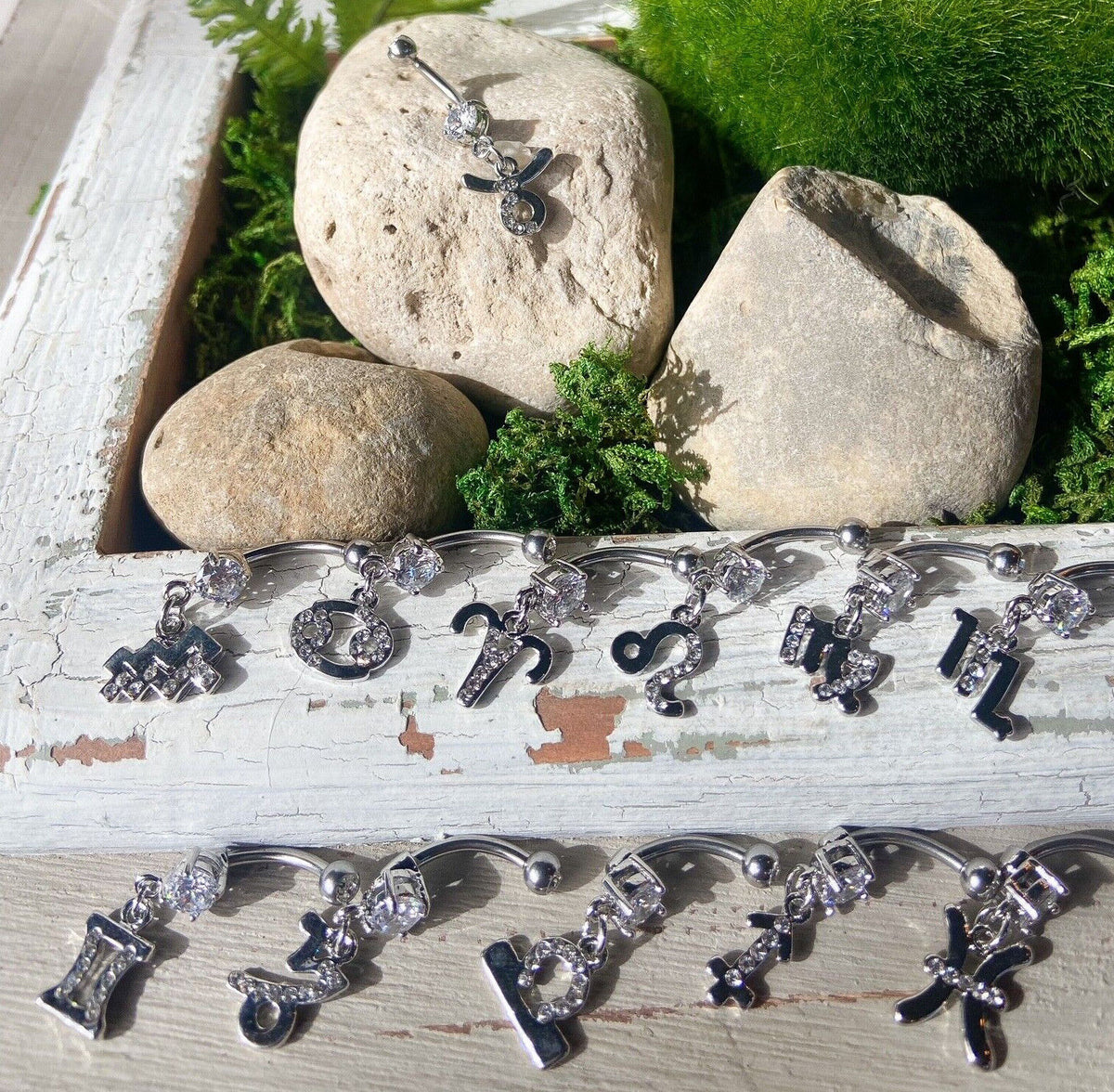 Zodiac Sign Paved CZ Gem Belly Ring Pierced Navel Astrology 14g Surgical Steel 