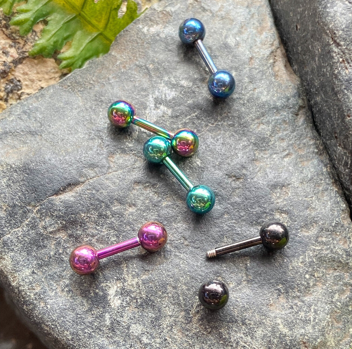 5pc Value Pack Titanium Plated Tragus Barbell Studs Cartilage Helix 16g 1/4" 6mm