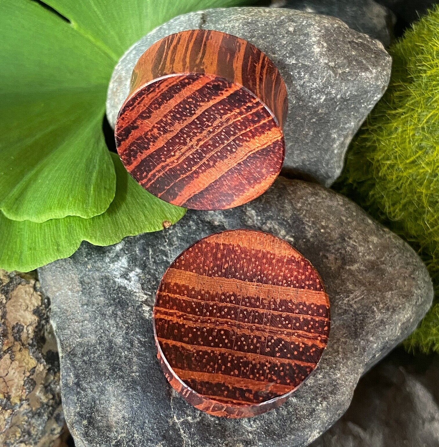 PAIR Concave Red Tiger Wood Plugs Organic Earlets Gauges Body Jewelry