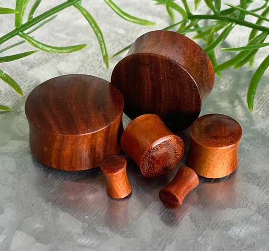 PAIR Chang Wood Plugs Organic Earlets Tunnels Gauges Body Jewelry