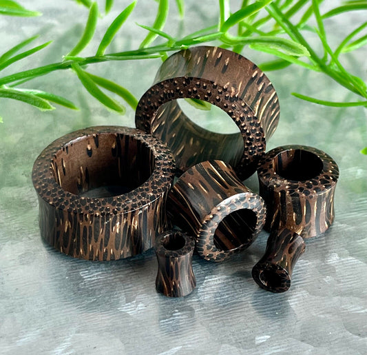 PAIR Palm Wood Tunnels Plugs Organic Earlets Gauges Body Jewelry