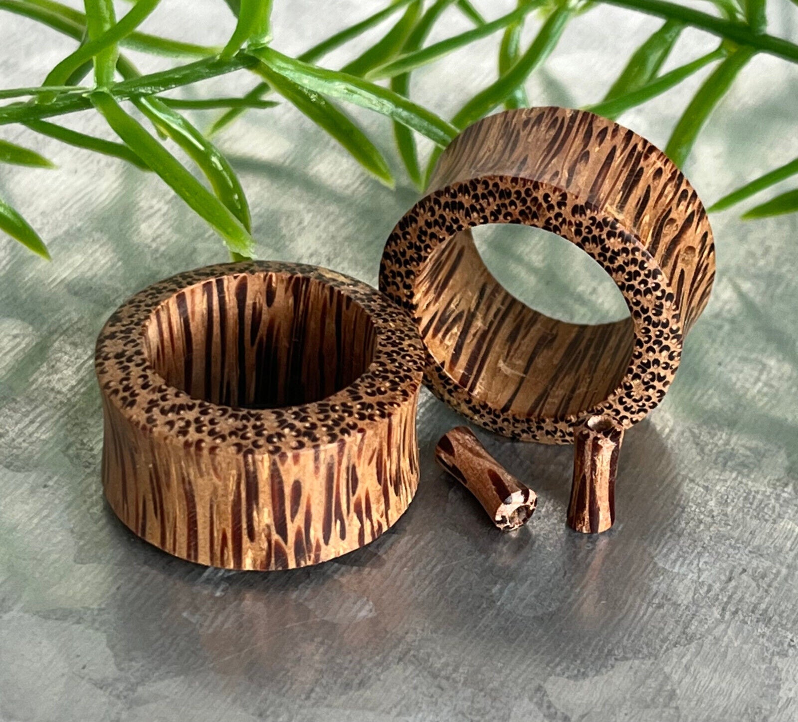 PAIR Coconut Wood Tunnels Plugs Organic Earlets Gauges Body Jewelry