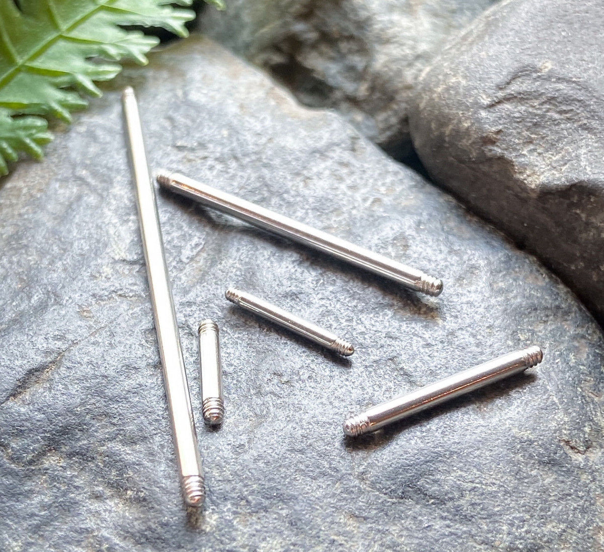 Body Jewelry Replacement Parts - 10pk 316L Surgical Steel Straight Bars Barbells