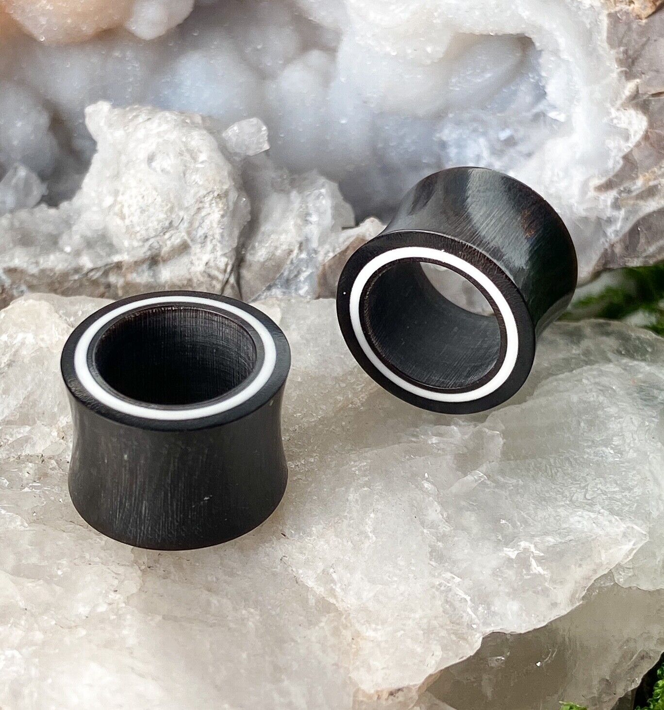 PAIR Double Flare Horn Tunnels w/ Bone Rim Ear Gauges Earlets Organic Plugs