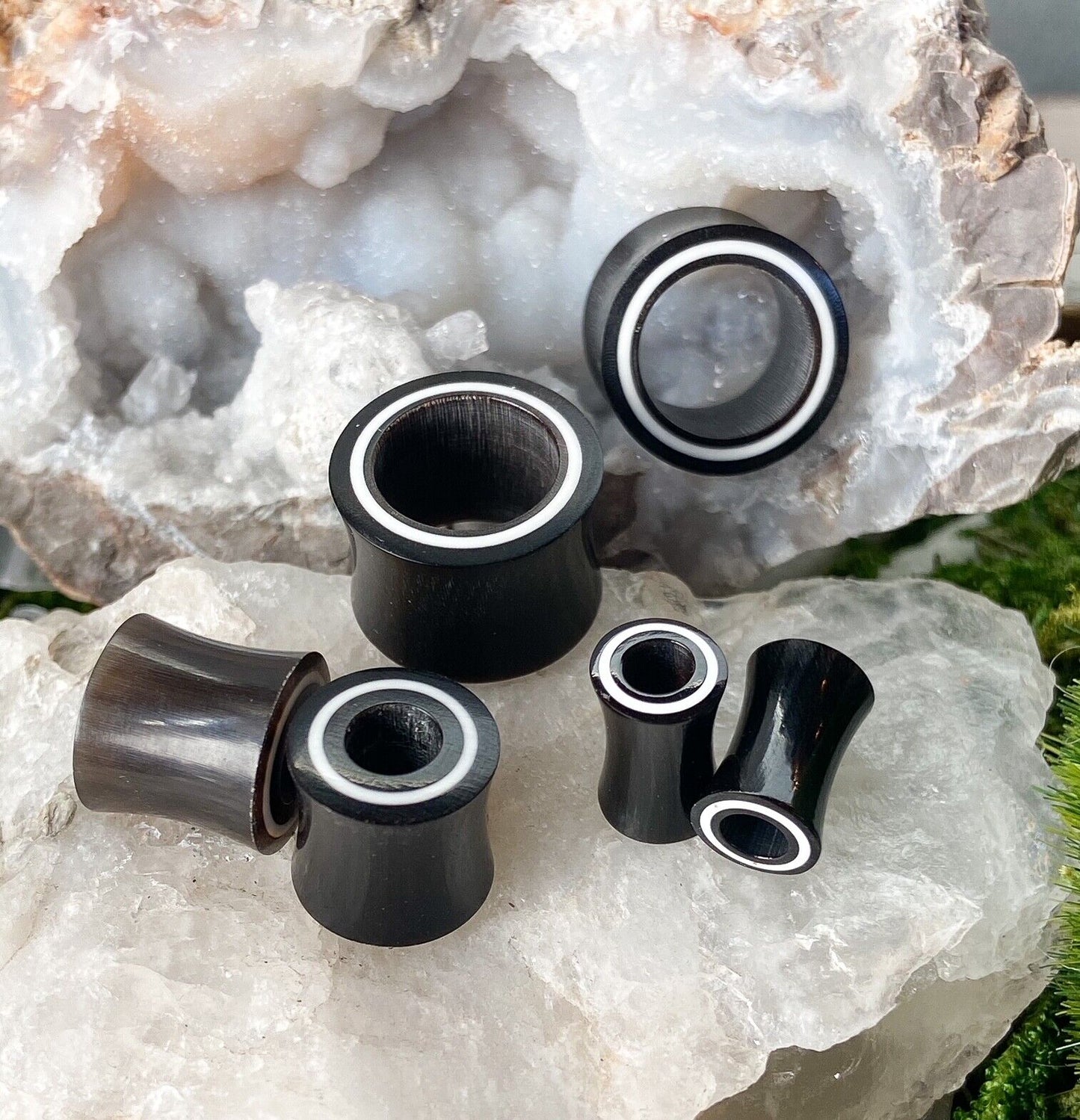 PAIR Double Flare Horn Tunnels w/ Bone Rim Ear Gauges Earlets Organic Plugs
