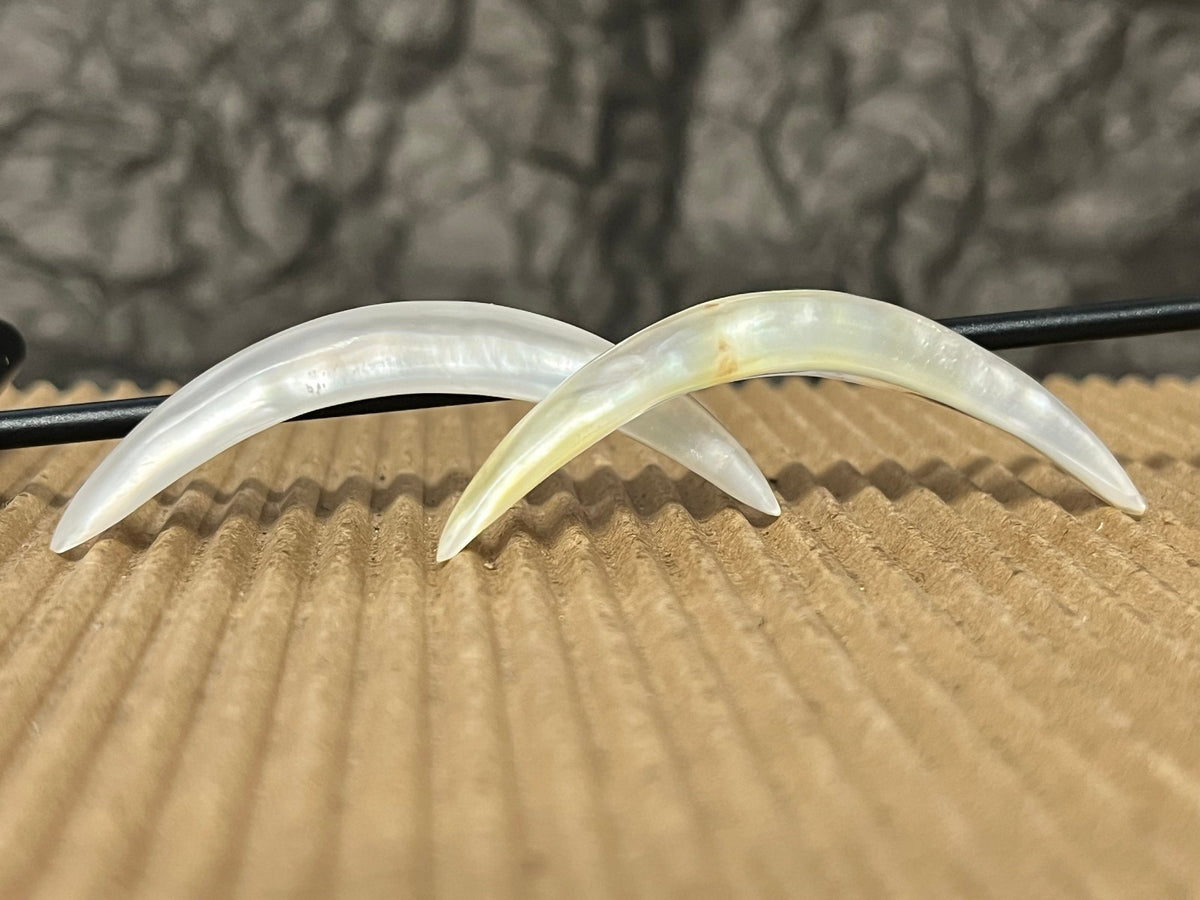 1pc Curved Mother of Pearl Septum Tusk Ring Body Jewelry