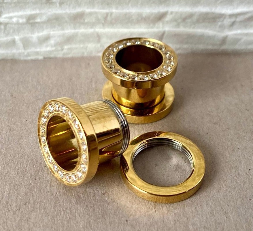 PAIR Solid Implant Grade Titanium Screw Fit CNC Gem Rim Tunnels Plugs Gauges