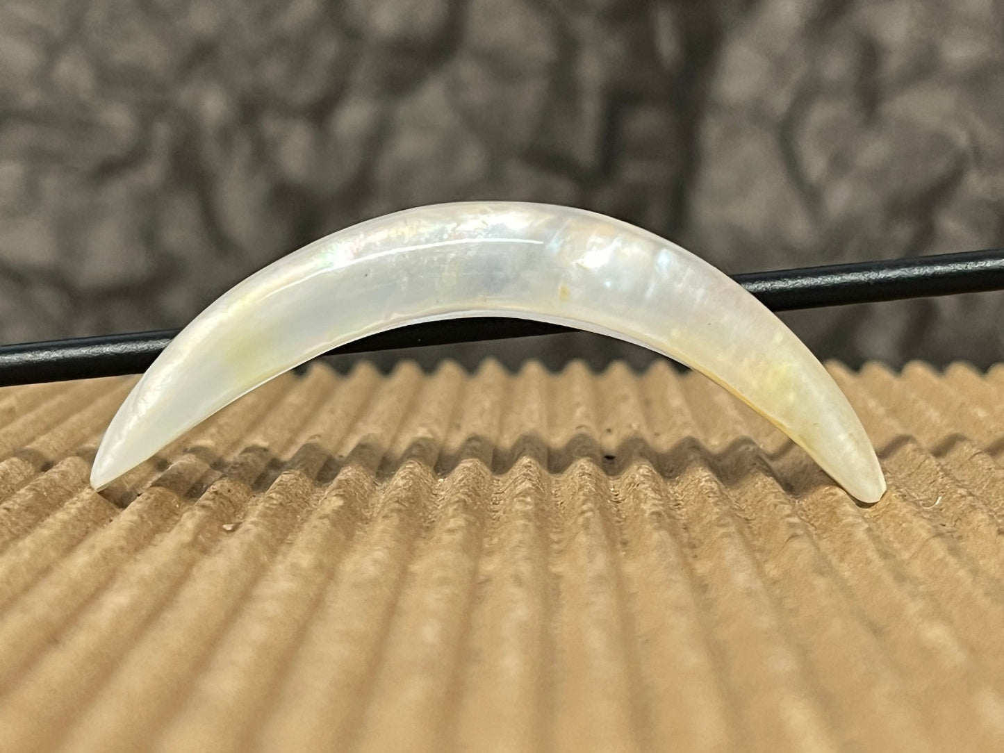 1pc Curved Mother of Pearl Septum Tusk Ring Body Jewelry