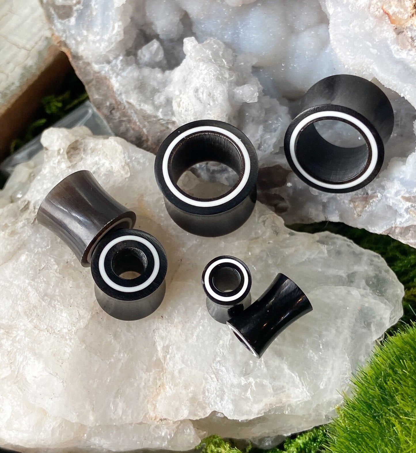 PAIR Double Flare Horn Tunnels w/ Bone Rim Ear Gauges Earlets Organic Plugs