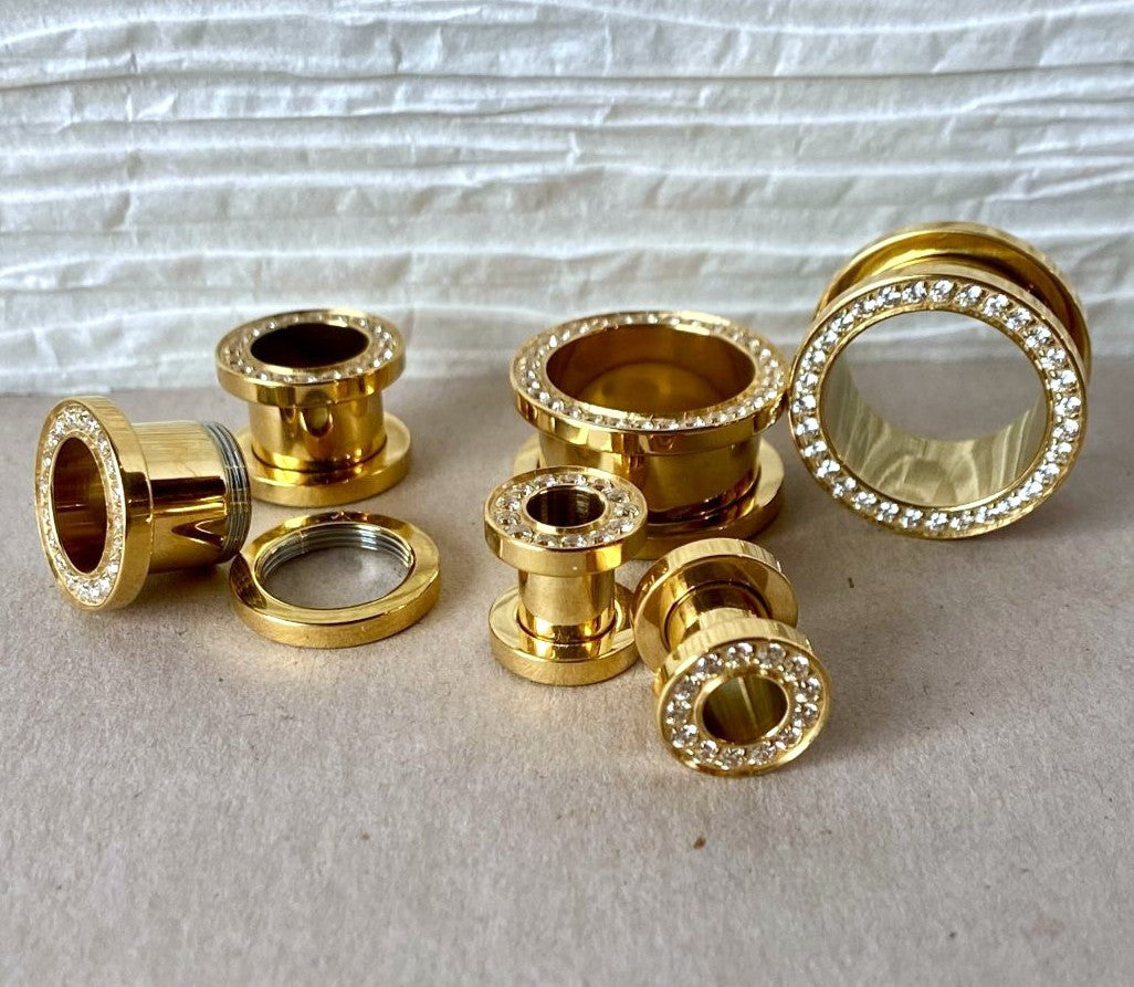 PAIR Solid Implant Grade Titanium Screw Fit CNC Gem Rim Tunnels Plugs Gauges