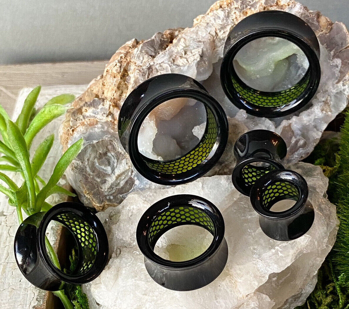 PAIR Inner Green Dotted Pattern Decal Black Acrylic Saddle Tunnels Plugs Gauges