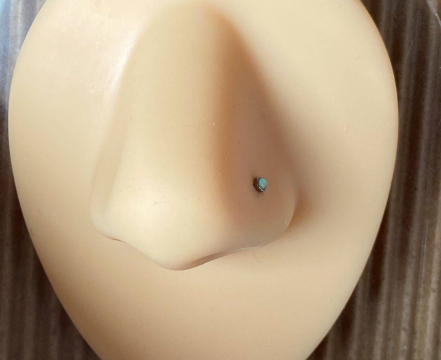 5pcs Illuminating Stone 20g Nose Rings Studs Bones Surgical Steel Multi-Pack