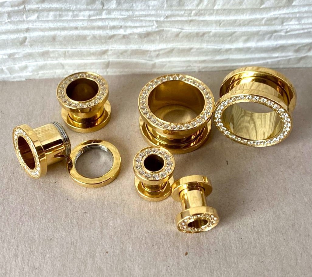 PAIR Solid Implant Grade Titanium Screw Fit CNC Gem Rim Tunnels Plugs Gauges