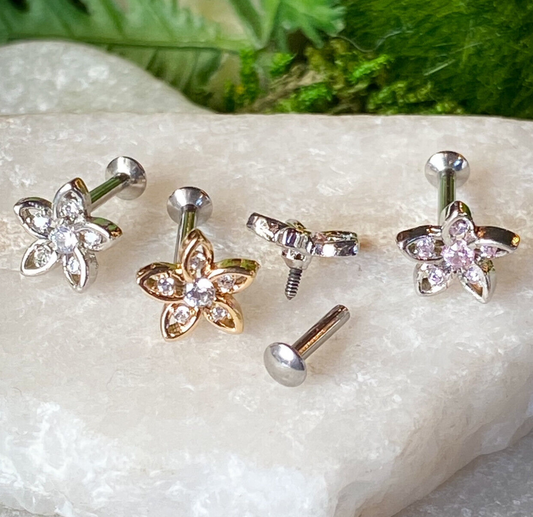 1pc CZ Gem Set Flower 16g Internally Threaded Steel Labret Stud Cartilage Ring