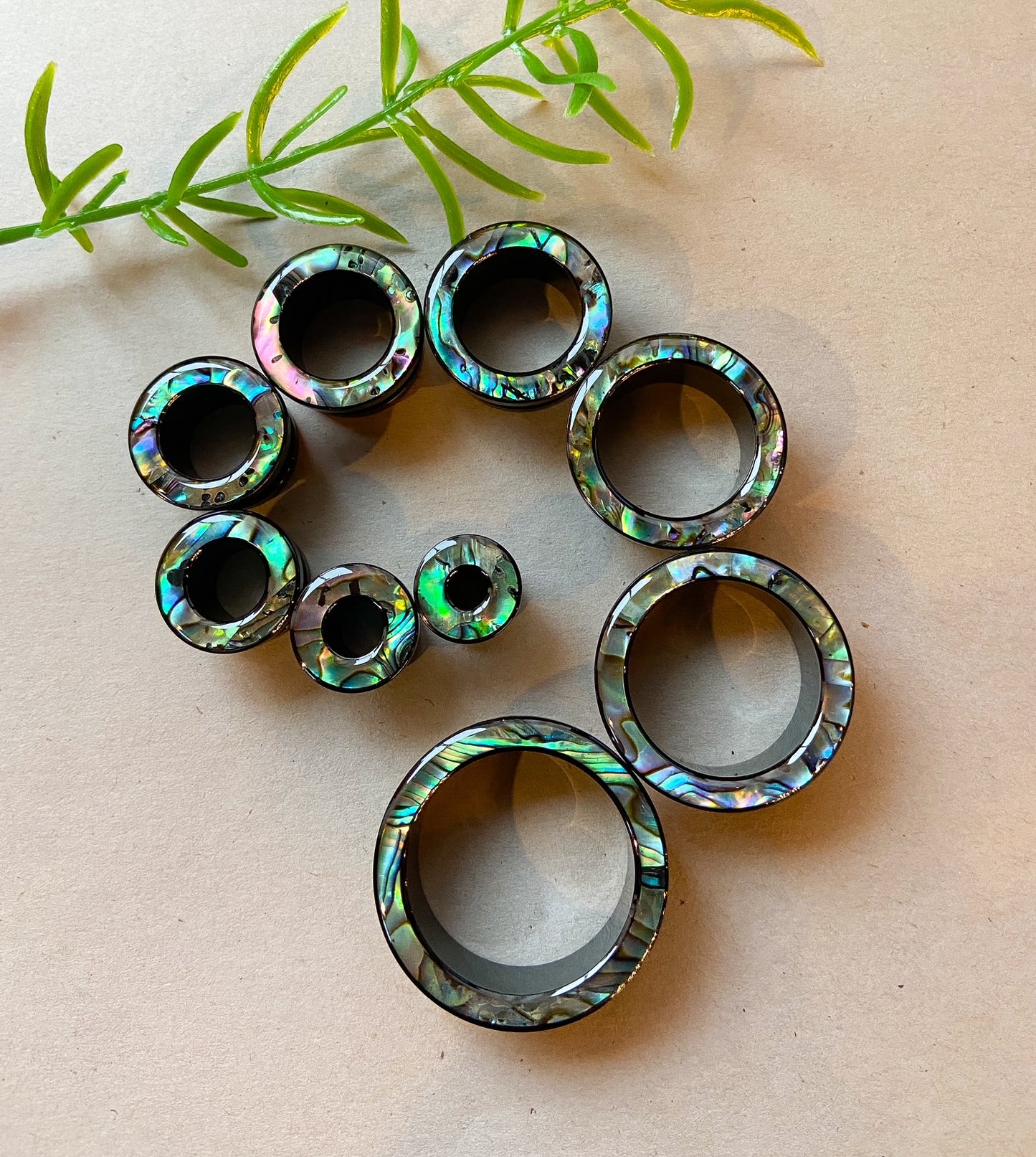 PAIR of Beautiful Abalone Rimmed Black Screw Fit Tunnels Plugs - Gauges 2g (6mm) thru 1" (25mm) available!