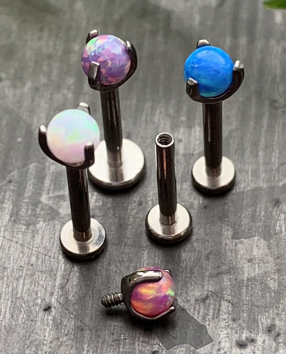 1 Piece Claw 3 Prong Opal Ball Titanium Labret-Monroe-Stud-Lip Ring-Helix Ear Cartilage - 16g - 5/8" (8mm) - Can be used for many piercings!